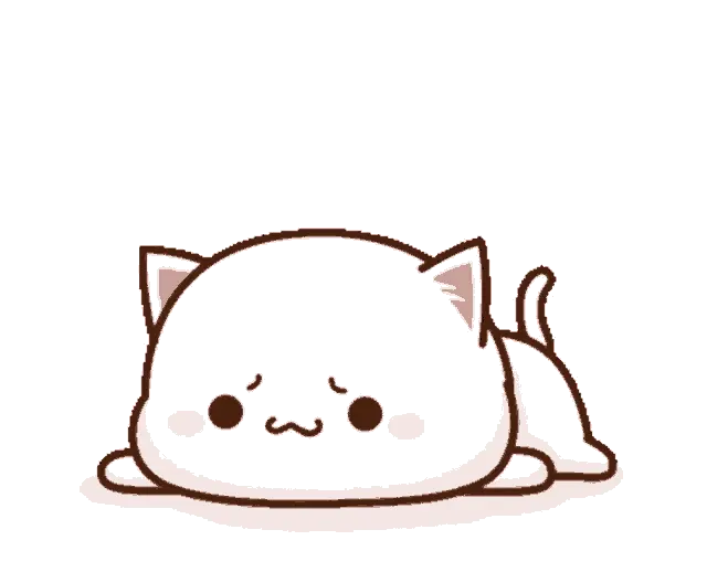 sad mochi cat